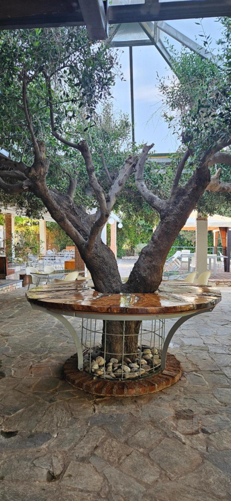 Olympic Village Hotel & Spa Ancient Olympia Zewnętrze zdjęcie